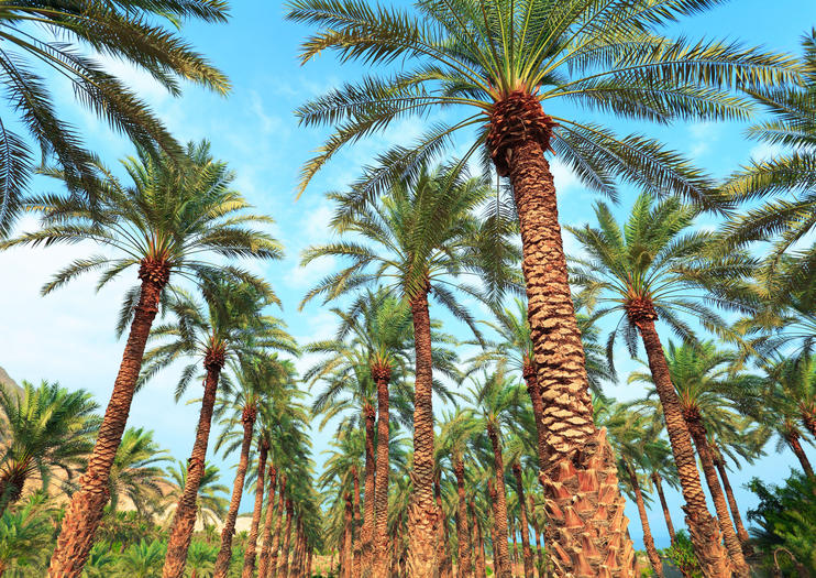 How to Spend 2 Days in Palm Springs